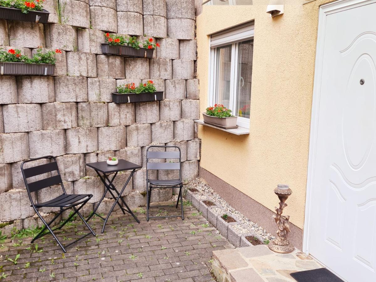 Apartment Koblenz Κόμπλεντς Εξωτερικό φωτογραφία